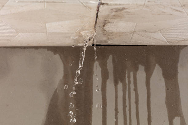 Professional Burst Pipe Cleanup technician working in New Ulm, MN